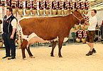 IMG 0280