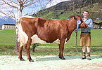 IMG 6937