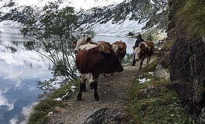 Aufbruchsstimmung...