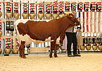 IMG 0220