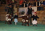 IMG 3363