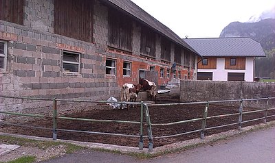 Vor 25 Jahren errichtet und immer noch sehr zweckmäßig - das Stallgebäude am Prentnerhof