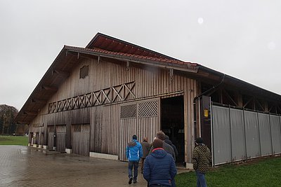 Unbedingt sehenswert - der Laufstall der Familie Oberholzner in Elixhausen