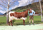 IMG 6941