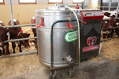 Im Zentrum der Kälbermast - der Milchtank mit automatischer Kälbertränke!