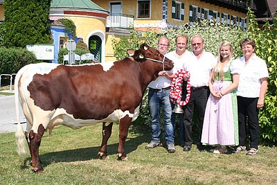News Titelbild