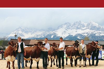 News Titelbild