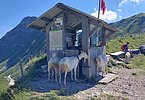 Wo's Stärkung und Schatten gibt - Kiosk am Morgetenpass