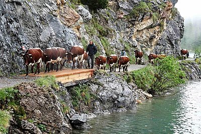 News Titelbild
