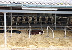 IMG 4681