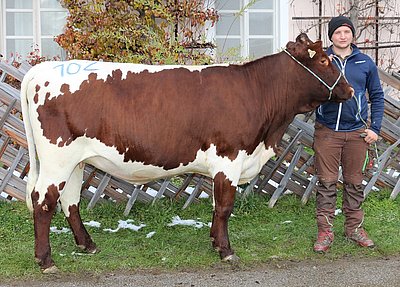Eine Vielversprechende! Kalbin MIA (V.Gau, 12,3%RF) von Kathrin u. Gidi Steiner, Großstalln, Piesendorf