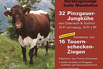 News Titelbild