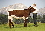 46 Moser Großschönberg