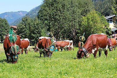 Eine willkommene Stärkung, bevor die letzten Kilometer von Fusch nach Bruck angetreten werden!