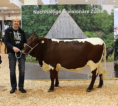 Larissa (V.Streich, Z.Johann Dagn, Steger, Schwendt) mit ihrem neuen Besitzer Cord-Hermann Brockmann aus Soltau