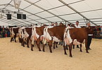 IMG 1158