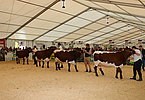 IMG 0548
