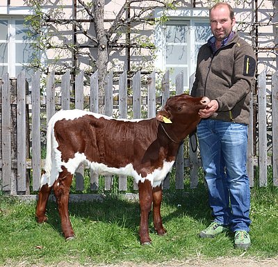 Vielversprechende Genetik - zu gewinnen am 29. April in Maishofen! RITZL x TITAN von Hannes Eder, Bartl, Niedernsill