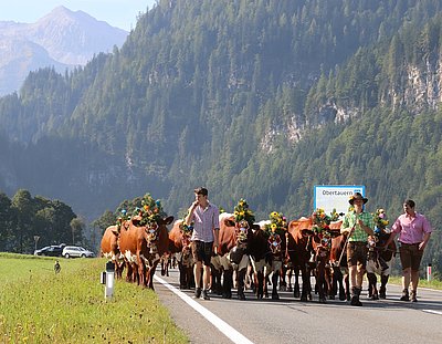 Der Heimat entgegen!