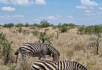 Südafrika 2024 229