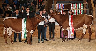 Pinzgauer x RF - Reservesiegerin Eni von Familie Sommerer, Siegerin Stern von Wolfgang Porsche, Schüttgut
