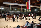 IMG 0531