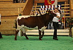 IMG 3231