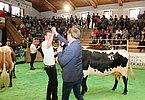 IMG 6808