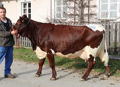 WERMUT (V.Stanz) von Hubert Eder, Bachseit, Bruck