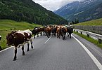 IMG-20240616-WA0016