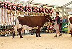IMG 0224