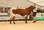 IMG 0286