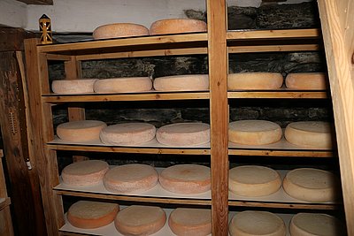 Im Käs'keller wird die kostbare Milchveredelung sichtbar!