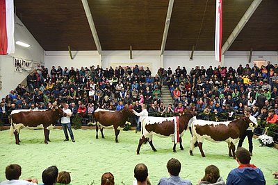 Spannendes Finale der vier Gruppensiegerinnen!