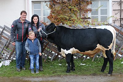 Wenn das kein Glücksstier ist! LIONELL (Liftler x Reif) von Eva-Maria Schösser, Großschiltern, Bramberg wurde um € 5.350 von der Besamung Kleßheim angekauft!
