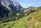 IMG-20230809-WA0049