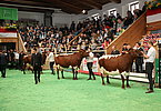 IMG 6089