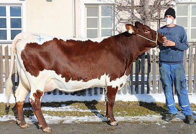 ROSI (V.Liftler) von Hubert Eder, Bachseit, Bruck