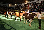IMG 3737