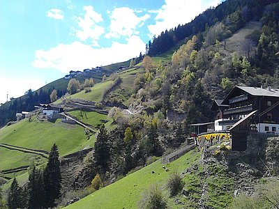 Kaum vorstellbar, wie die steilen Höfe bewirtschaftet werden können!