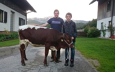 Angekommen in der Heimat - stolz präsentiert Bernhard an der Seite seines Firmpaten Lukas Grafeneder sein Pinzgauer-Kälbchen Veilchen!