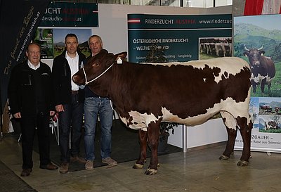 Mittlerweile ein bekannter Mann in Salzburg - Viehhändler Rolf Hinder begibt sich einige Mal im Jahr auf Pinzgauer-Einkaufstour!