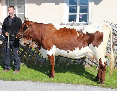 Drittlaktierende BLEAMÖ (V.Loblia) von Manuela Trauner, Krameranwesen, Bruck