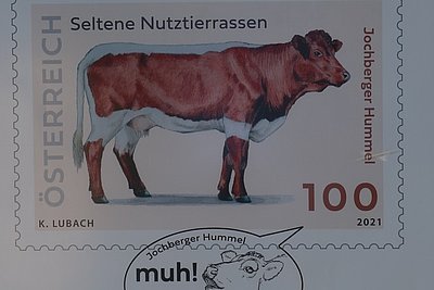 News Titelbild