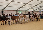 IMG 0808
