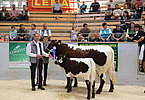 IMG 2893