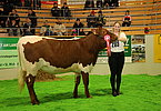 Auch Oberösterreich empfiehlt sich fürs Finale! Christina Rebhandl mit ZITTA (V.Mangold)