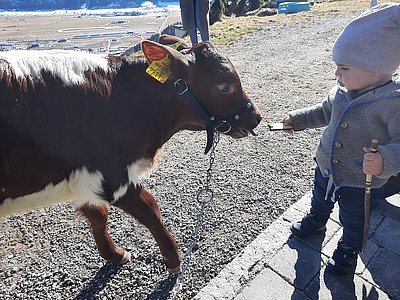 Sebastians Jause scheint zu munden! ;)