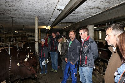 das Ergebnis akribischer Zuchtarbeit des Einödbergers!