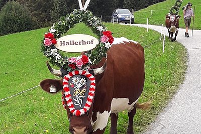 News Titelbild